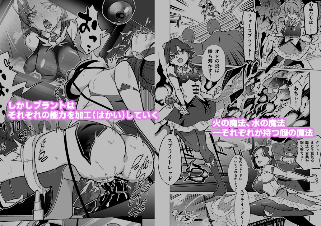 sample image 2