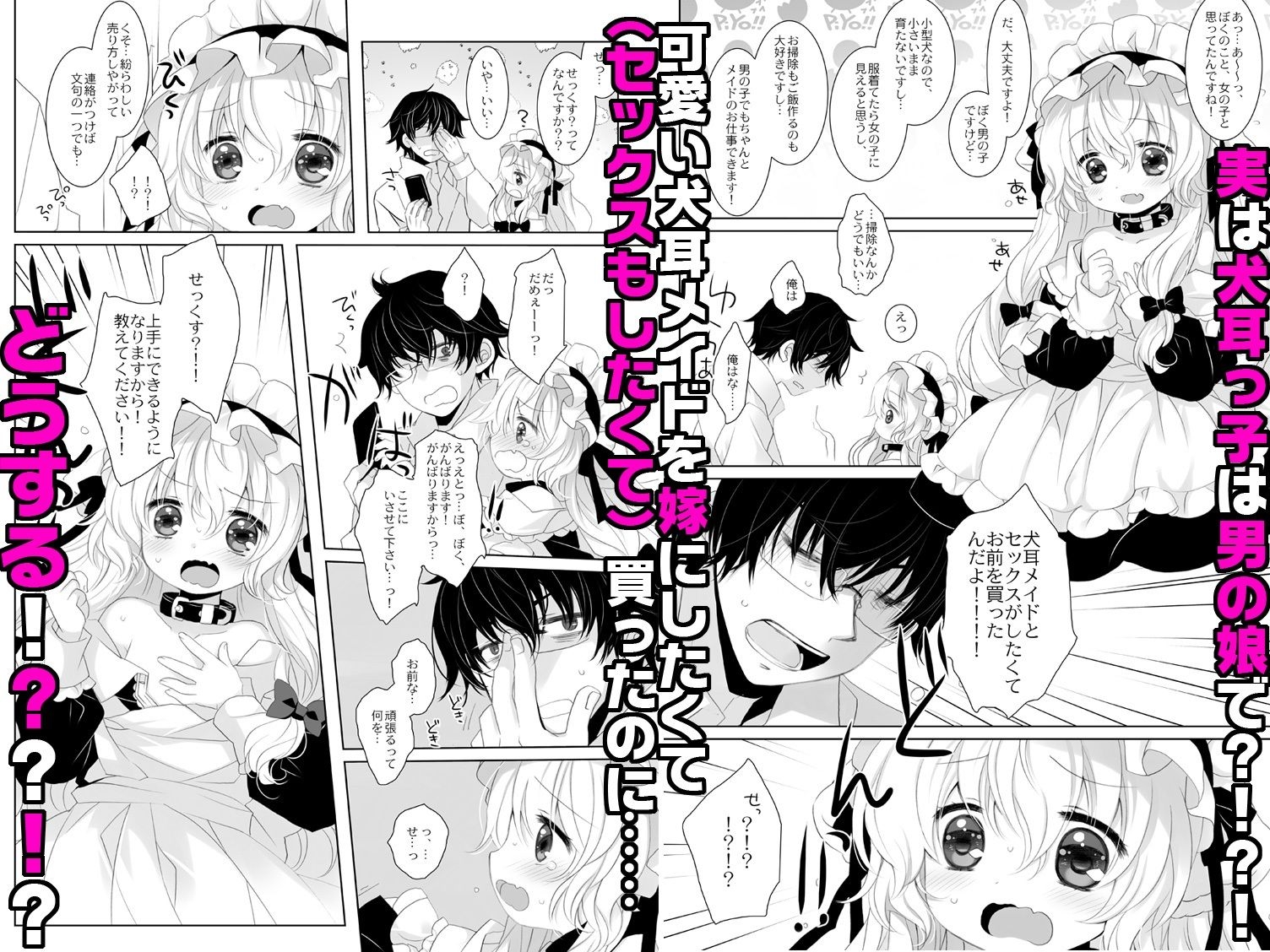 sample image 3