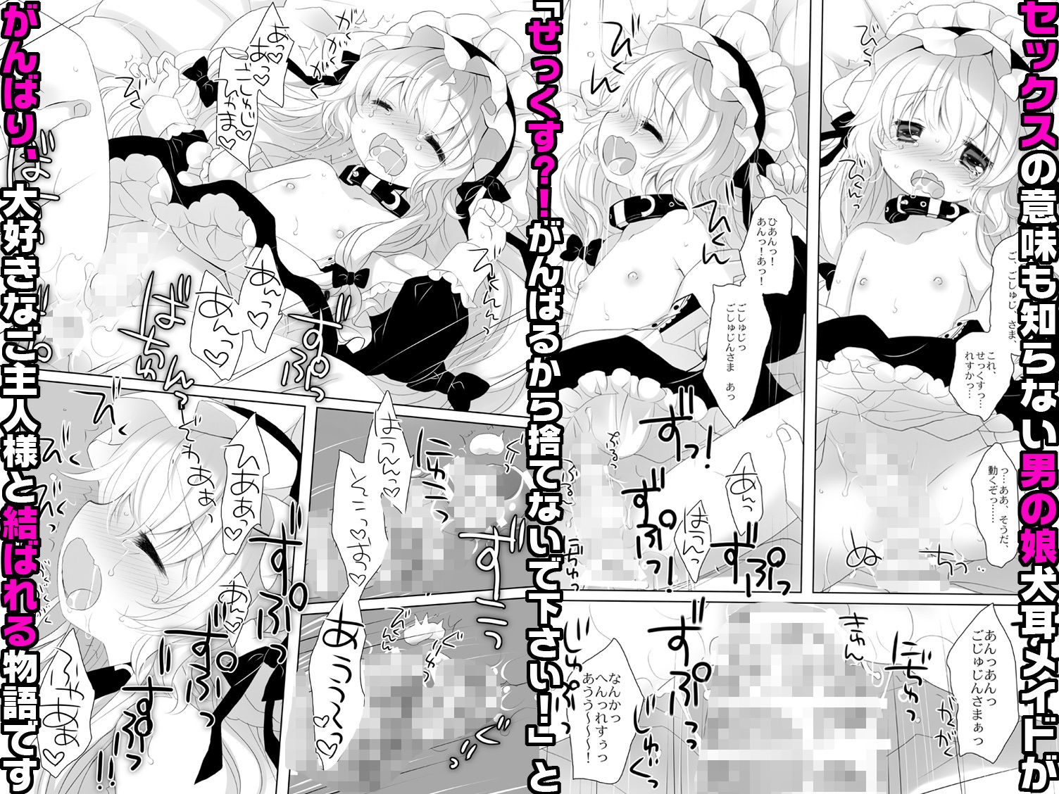 sample image 5