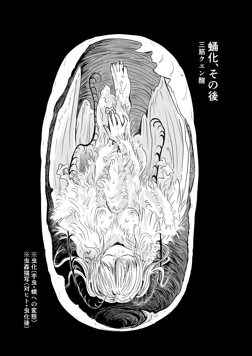 sample image 2